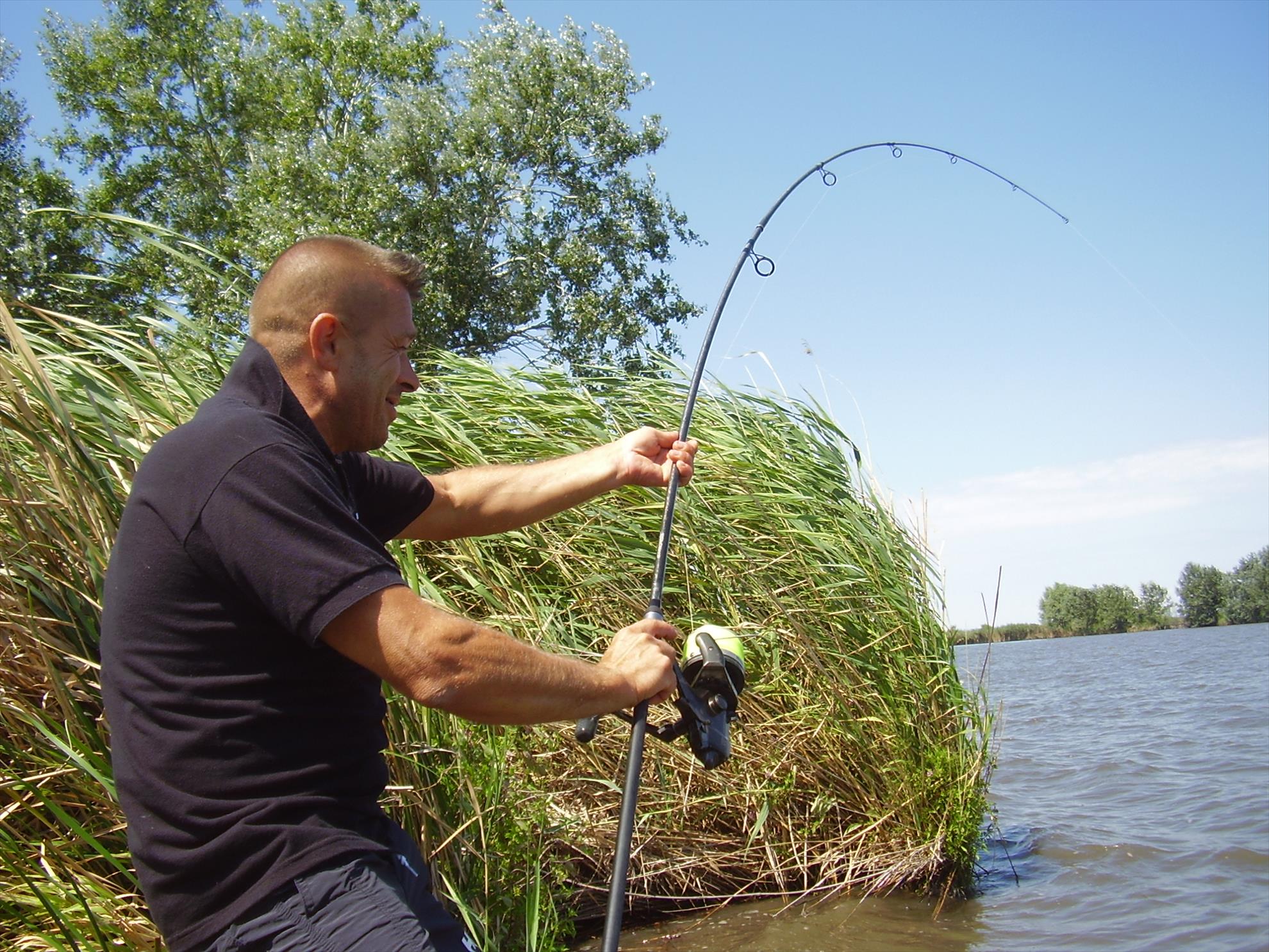 Alejandro Carp Team - Ohat Ungaria 2013 - p5060006.JPG